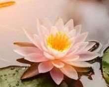 Anxiety Counselling Vancouver